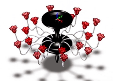 实例教程5：用z6尊龙3D进行花瓣吊灯设计